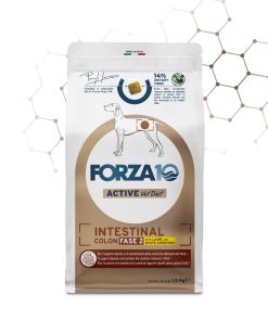Forza10 - Dog Intestinal Colon Fase II Agnello e Sorgo bianco 1,5 kg