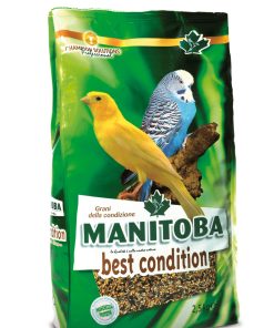 Manitoba - Best Condition 400 g
